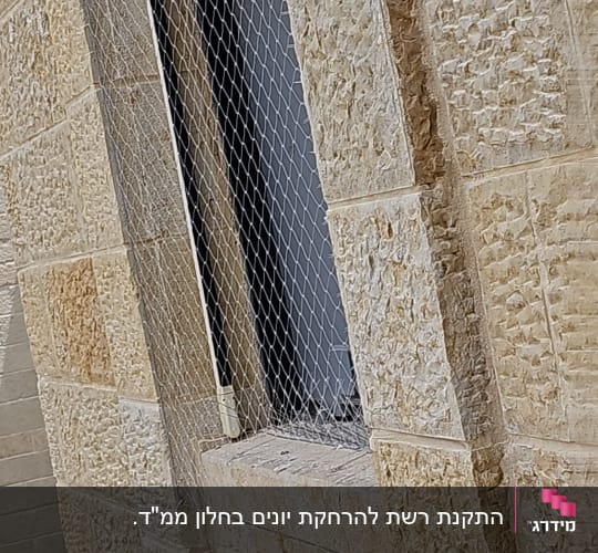 רשת מתכת מותקנת על חלון למניעת כניסת יונים